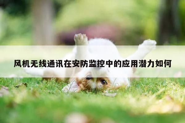 风机无线通讯在安防监控中的应用潜力如何