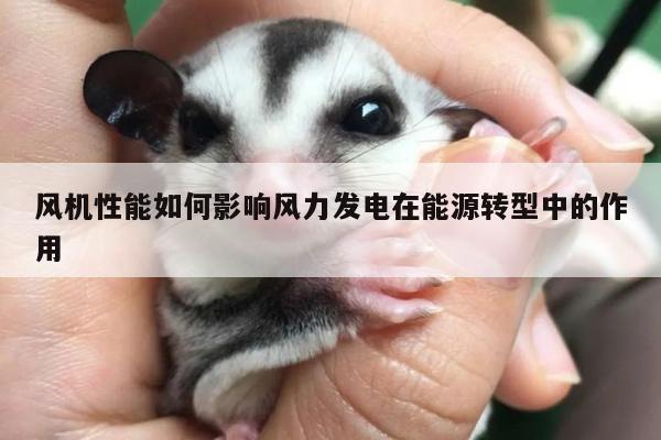 风机性能如何影响风力发电在能源转型中的作用