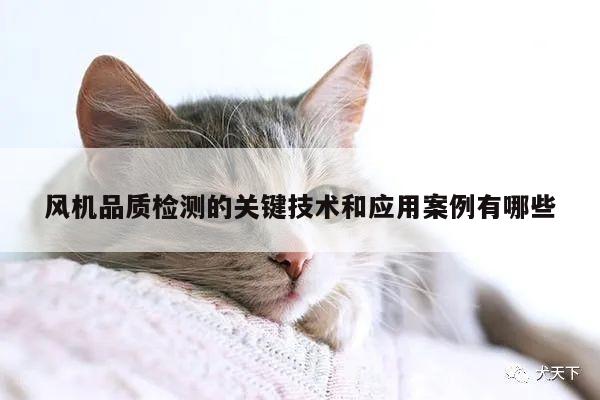 风机品质检测的关键技术和应用案例有哪些