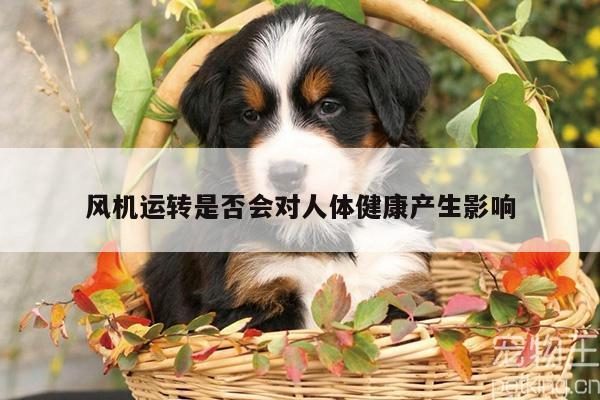 风机运转是否会对人体健康产生影响