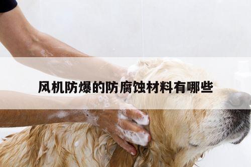 风机防爆的防腐蚀材料有哪些