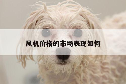 风机价格的市场表现如何